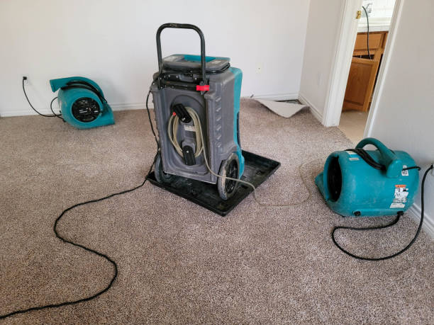 Best Fire Damage Restoration  in Darmstadt, IN