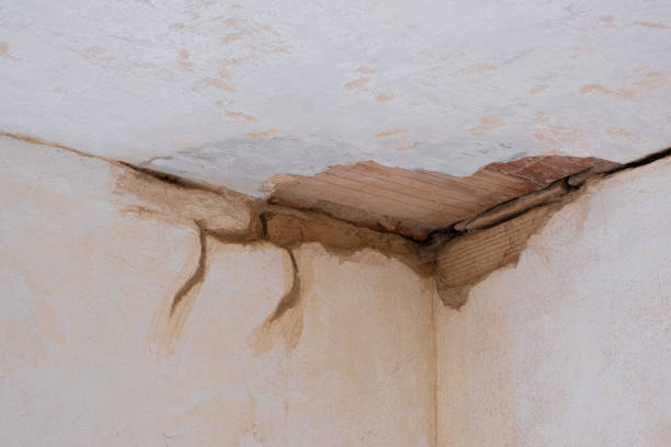 Best Flood restoration services  in Darmstadt, IN