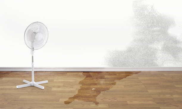 Best Water damage restoration cost  in Darmstadt, IN