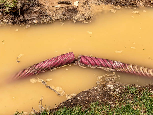 Best Mold removal after water damage  in Darmstadt, IN