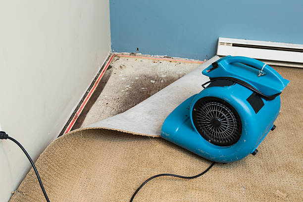 Best Fire Damage Restoration  in Darmstadt, IN